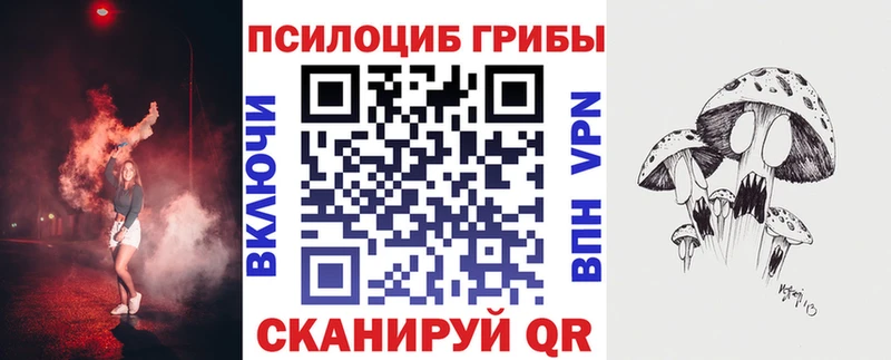 Псилоцибиновые грибы ЛСД  Купить где  Подольск 